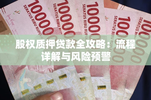 北京股权质押贷款全攻略：流程详解与风险预警