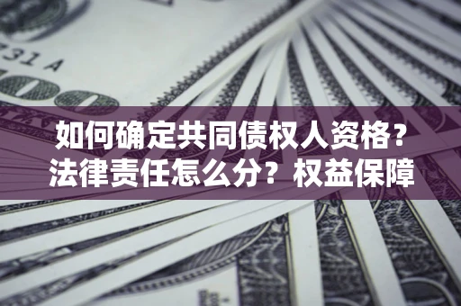 北京如何确定共同债权人资格？法律责任怎么分？权益保障技巧揭秘！
