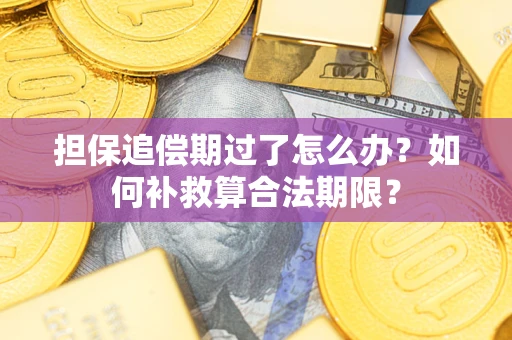 北京担保追偿期过了怎么办？如何补救算合法期限？
