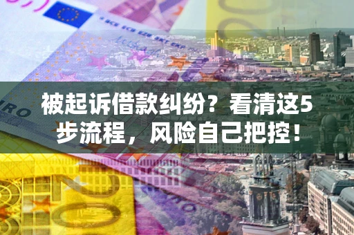 北京被起诉借款纠纷？看清这5步流程，风险自己把控！
